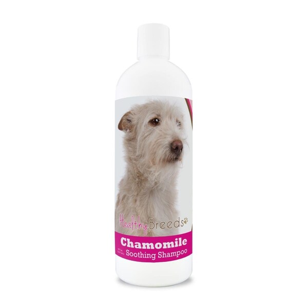 Healthy Breeds 8 oz Portuguese Podengo Pequeno Chamomile Soothing Dog Shampoo 192959000306 - main